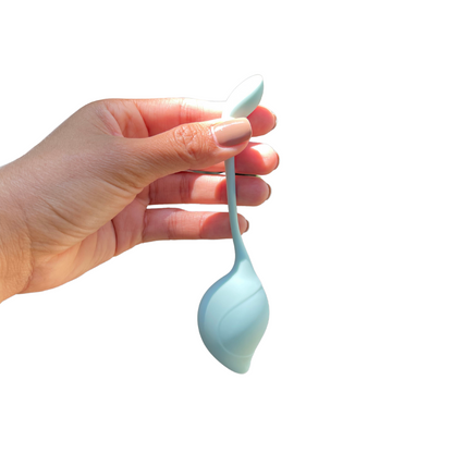 KEGEL BALLS